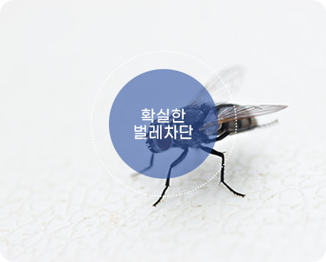 해충 차단 기술 예시